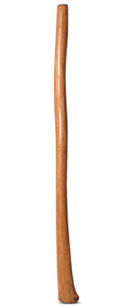 Gloss Finish Flared Didgeridoo (TW984)